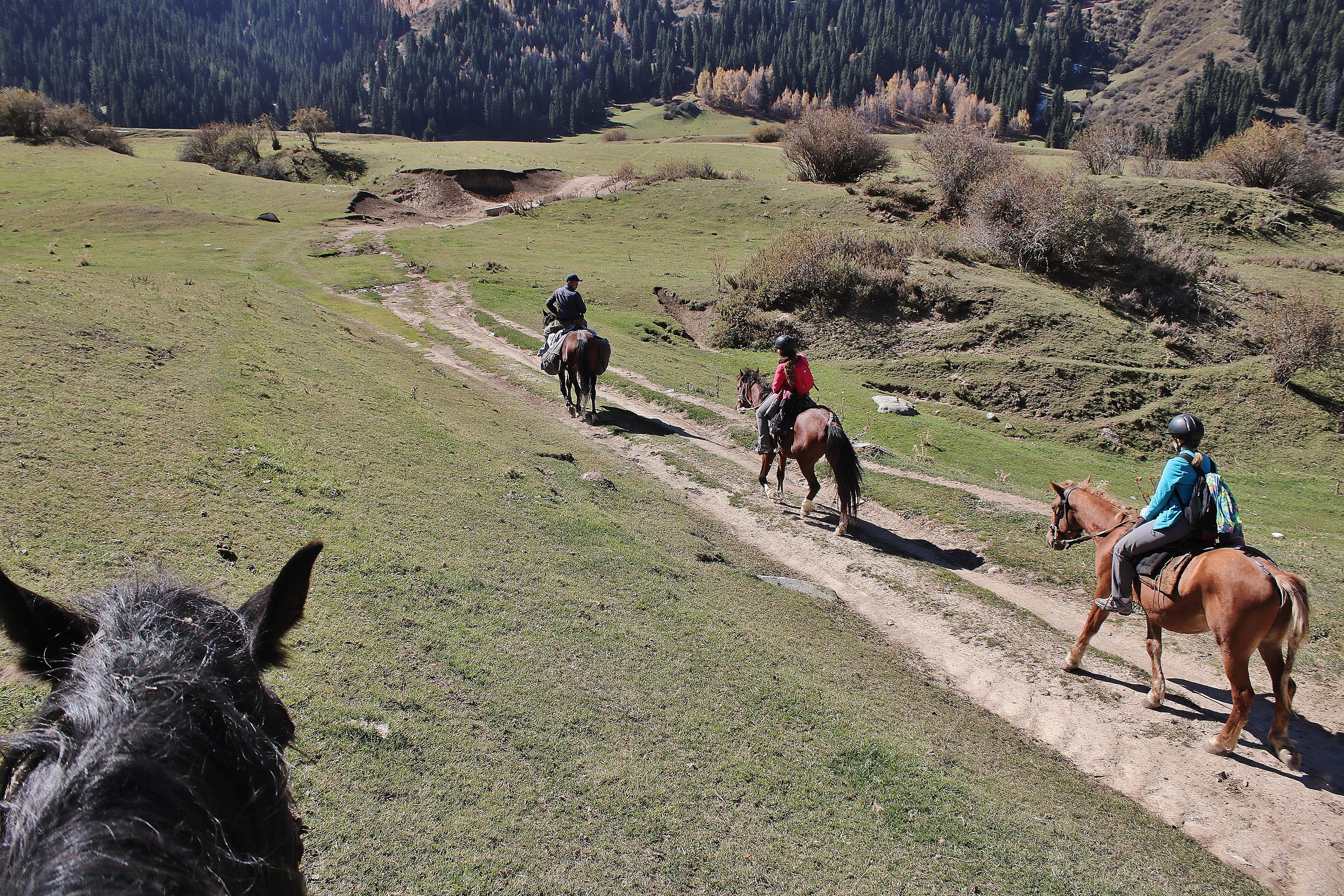 Horse riding at Yrdyk