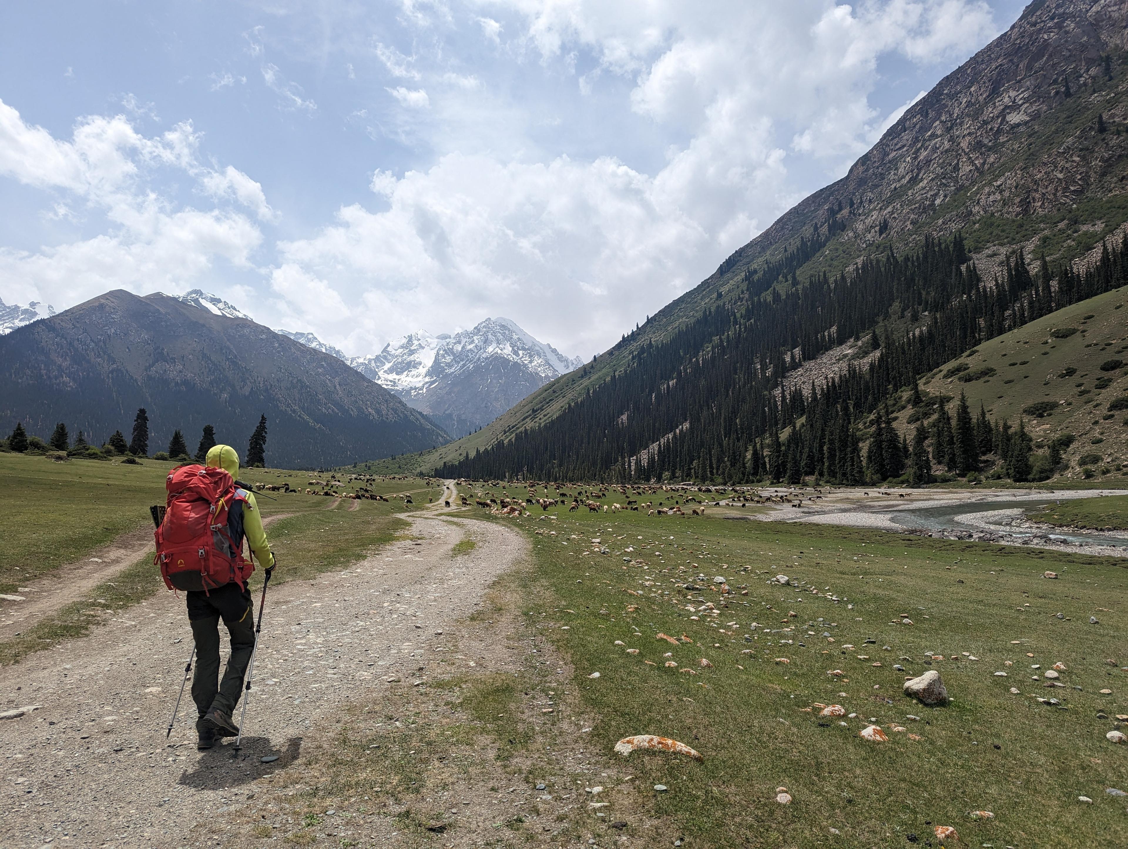 Introducing Peak Ittish, an awe-inspiring mountain peak that stands proudly at an altitude of 4808 meters in the breathtaking Kyrgyz landscape. Translating to "head of dog" in the local language, this snowy summit offers an unforgettable mountaineering experience like no other.