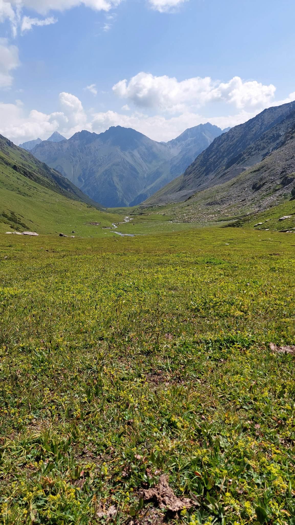 The green meadows of Asan Tukum gorge in the Jeti Oguz valley