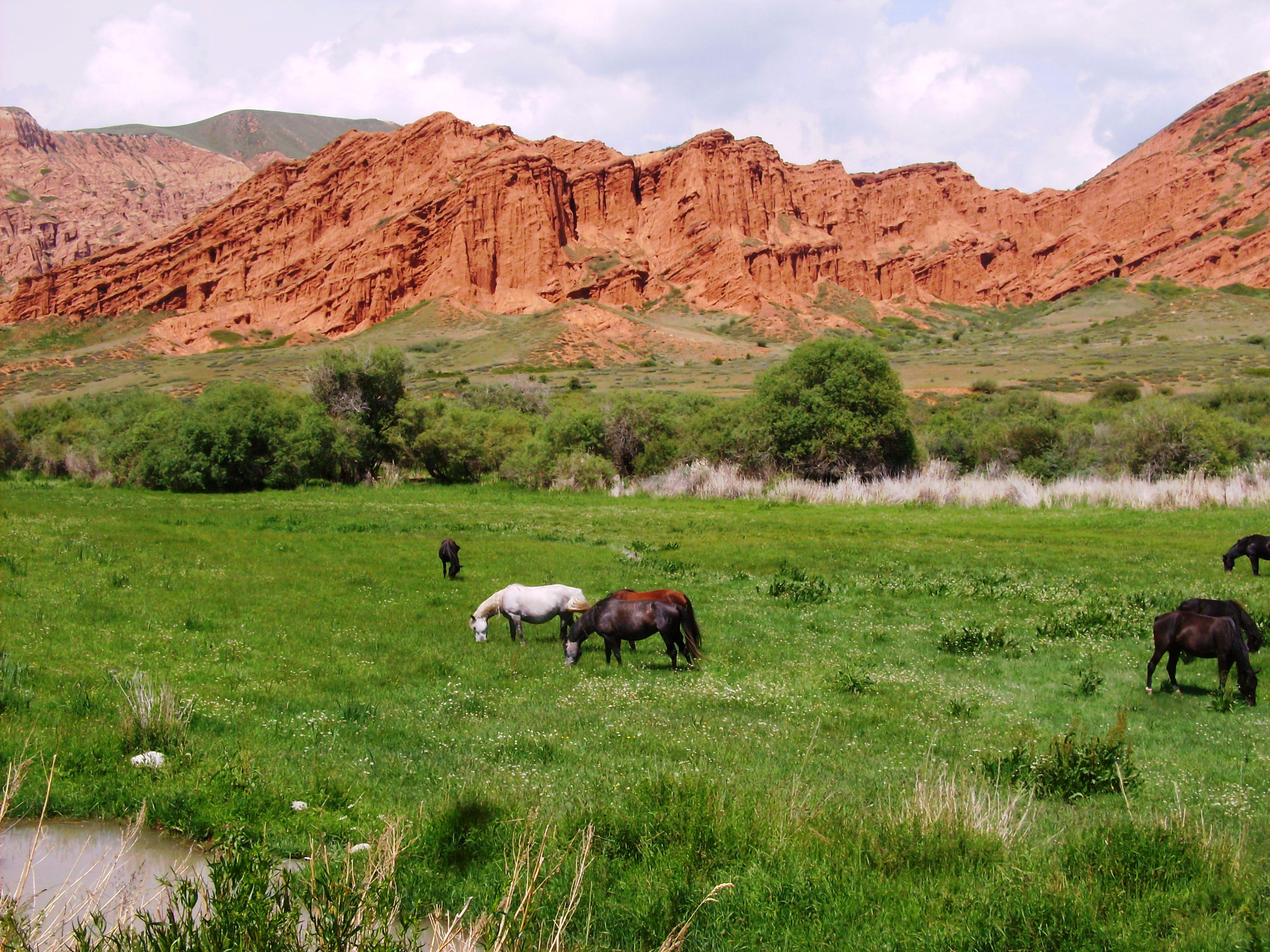 Chong Kyzyl Suu valley