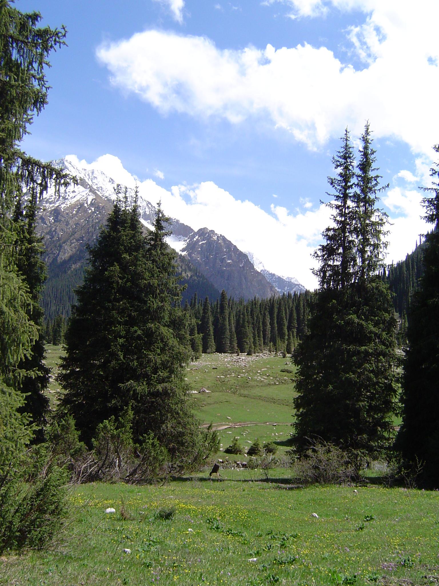 Chong Kyzyl Suu valley