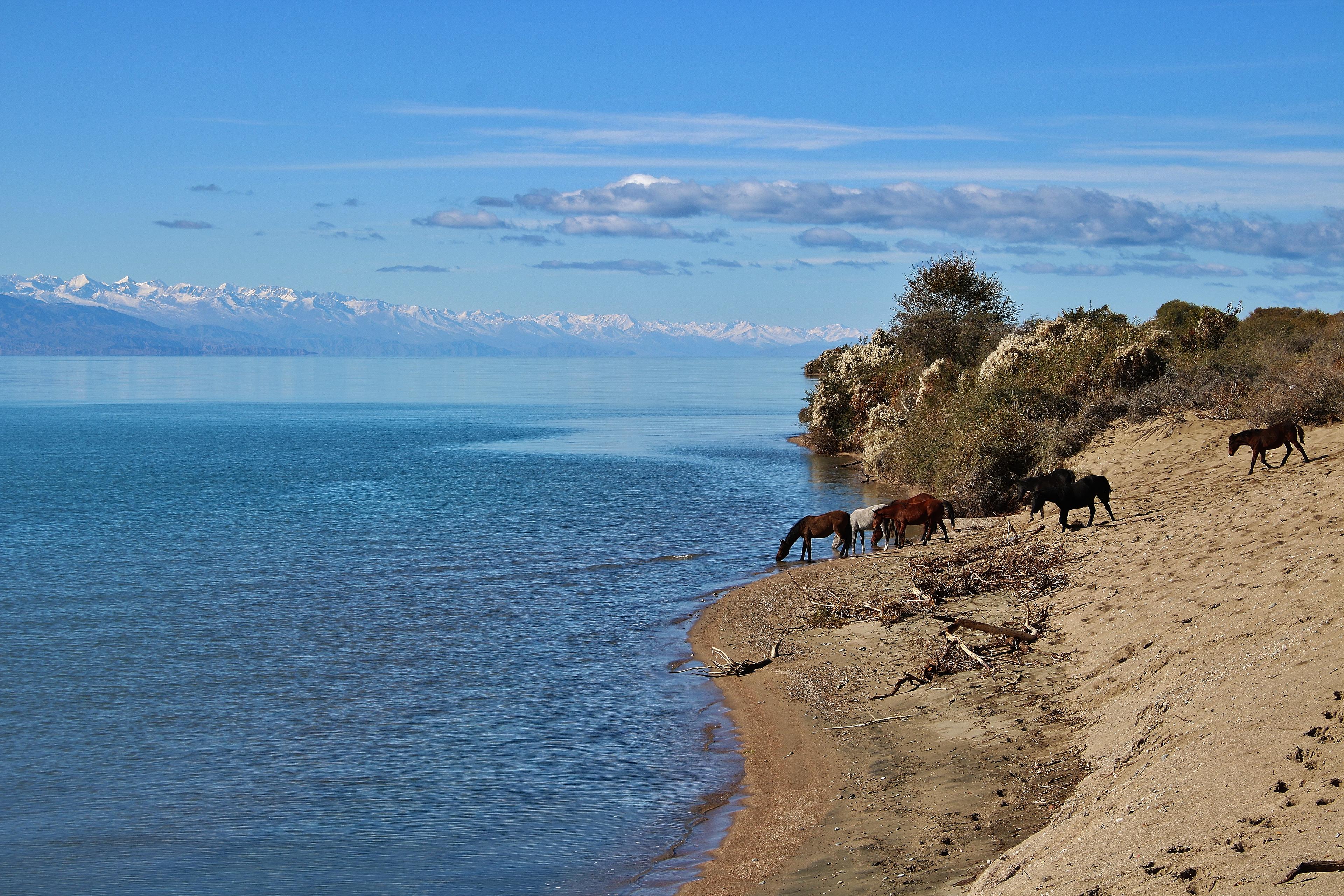 Issyk Kul